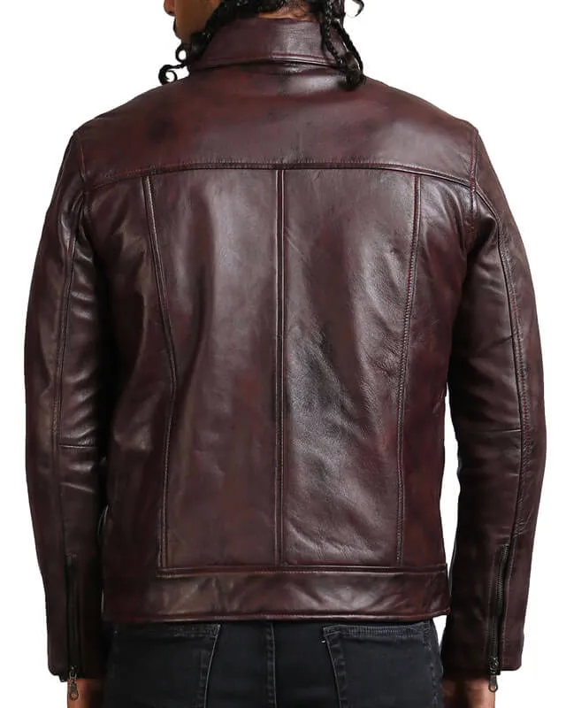 Dark Brown Collared Biker Jacket