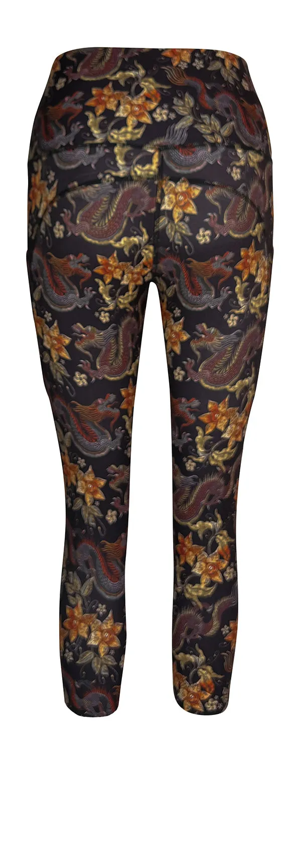 Dragon Dreams   Pockets