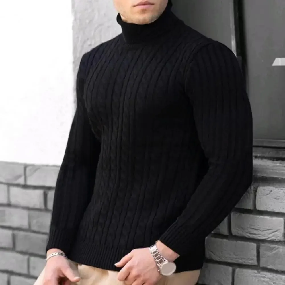Men  Solid Color Turtleneck Long Sleeve High Neck Basic Sweater