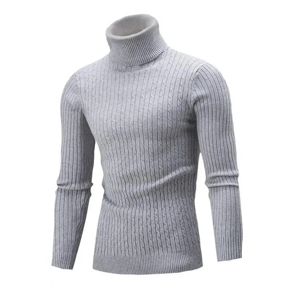 Men  Solid Color Turtleneck Long Sleeve High Neck Basic Sweater