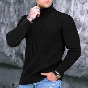 Men  Solid Color Turtleneck Long Sleeve High Neck Basic Sweater