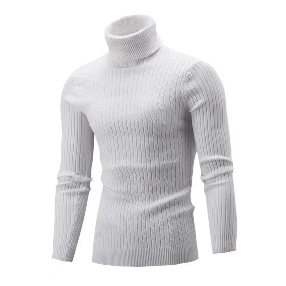 Men  Solid Color Turtleneck Long Sleeve High Neck Basic Sweater