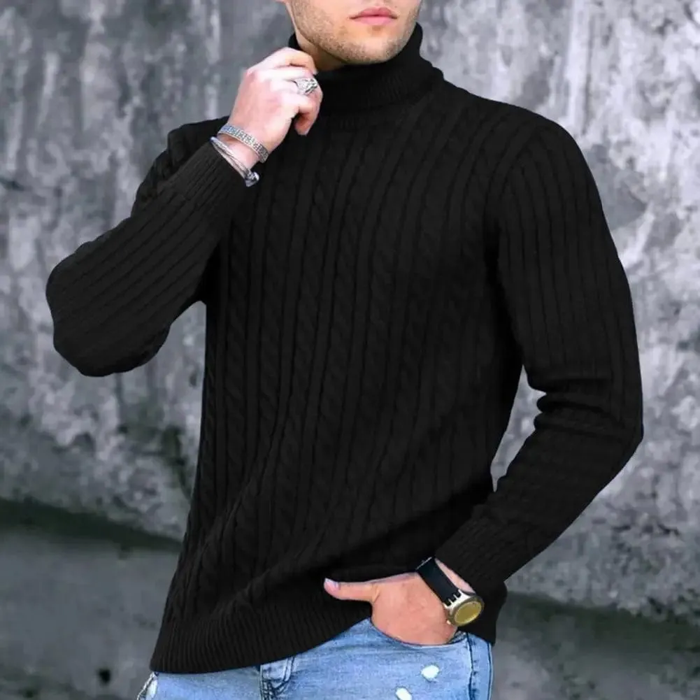 Men  Solid Color Turtleneck Long Sleeve High Neck Basic Sweater