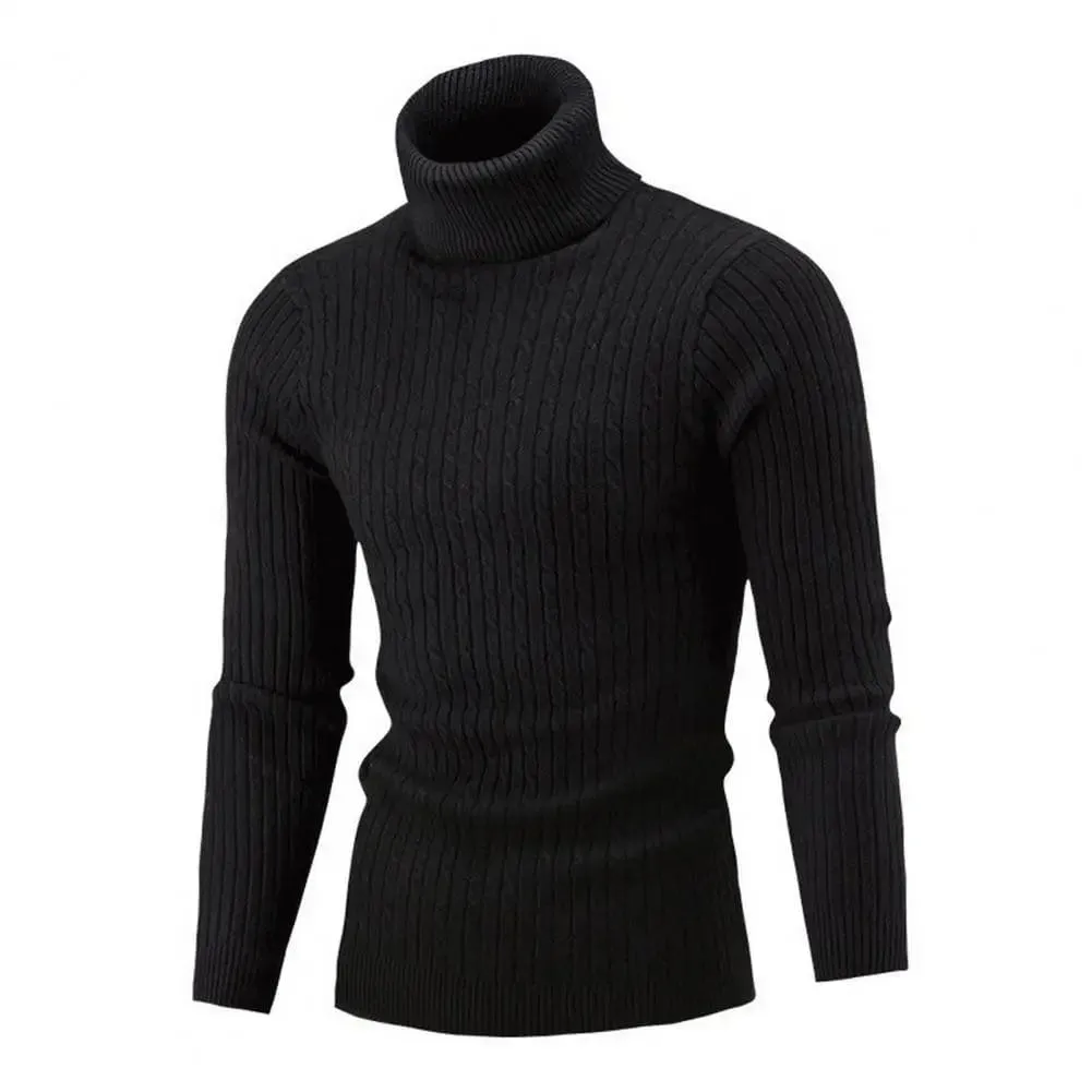 Men  Solid Color Turtleneck Long Sleeve High Neck Basic Sweater
